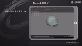 上颚结构处理
眼眶结构形体固定
下颌骨穿插处理