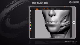 1. 肌肉走向细化 
2. 肌肉穿插关系讲解 
3. 鼻唇沟细化 
4. 下颌肌肉讲解