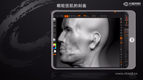 1. 耳形调整 
2. 眉骨走向细化 
3. 眼轮匝肌形体讲解 
4. 眼角位置细化