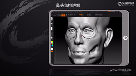 1. 鼻孔讲解 
2. 鼻肌走向讲解 
3. 鼻唇沟结构细化 
4. 鼻翼与鼻头的连贯讲解