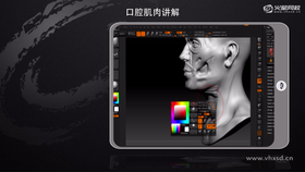 1. 嘴型调整 
2. 人中讲解 
3. 口轮匝肌外形 
4. 肌肉穿插