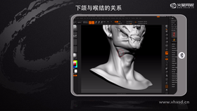 1. 下颌骨形体讲解 
2. 喉结的外形调整 
3. 胸锁乳突肌讲解