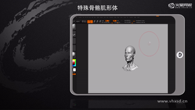 1. 额头肌肉处理 
2. 颞肌的刻画 
3. 眼眶结构的修整