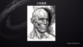 1. 轮廓修整 
2. 关键结构点讲解 
3. 大体块的整理