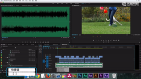 添加基本效果、标题和输出项目