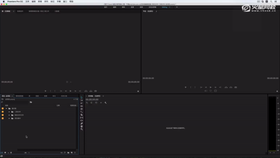 导入媒体和整理素材