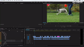 监视器修剪和技巧补充