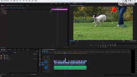 adobe的相互协作和轨道的使用