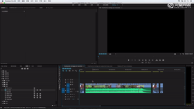 应用过渡,效果和滤镜