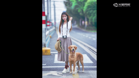 胶片调色思路