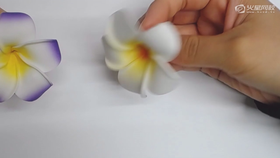 【秒学】花朵手绘-1