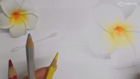 【秒学】花朵手绘-4