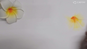 【秒学】花朵手绘-3