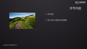 复制、(原位)粘贴
自由变换