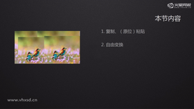 新功能
放大缩小等相关快捷键