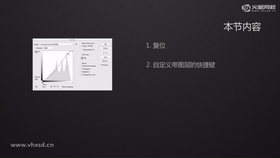 复位
自定义带图层的快捷键