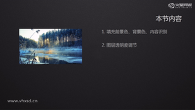 填充前景色、背景色、内容识别
图层透明度调节