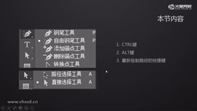 讲解钢笔工具的Ctrl键与Alt键的使用方法