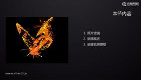 照片滤镜及蝴蝶轮廓提取