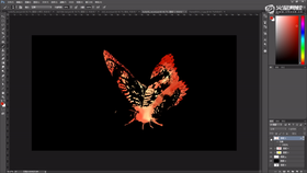 火蝴蝶及镜头光晕
