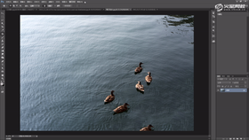 了解修补工具及注意事项