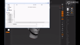 zbrush导入导出都支持哪些格式