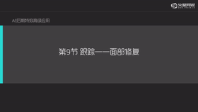 跟踪在面部修复的应用