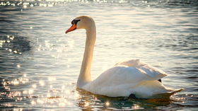 主要讲解:1.PS中图层样式的复制等 2.通过图层样式制作案例