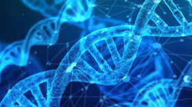 通过案例了解滤镜的使用