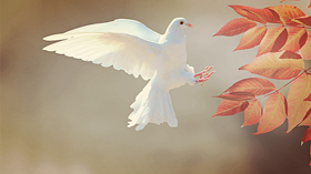 如何进行K帧
如何进行动画