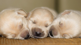 主要讲解:1.图层蒙版合成 2.图层蒙版抠像