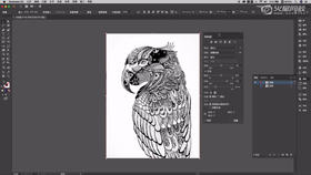 图像描摹面板的使用