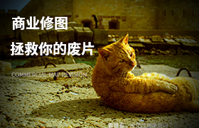 Carema Raw+Photoshop拯救你的“废片”