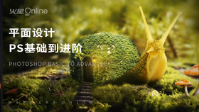 Photoshop 2018基础到进阶视频教程