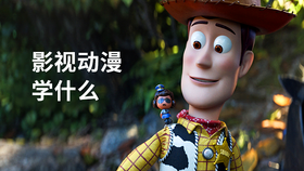 影视动漫学什么