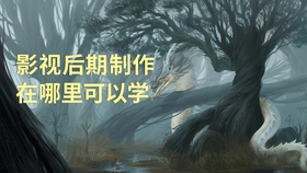 影视后期制作在哪里可以学