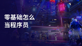 零基础怎么当程序员