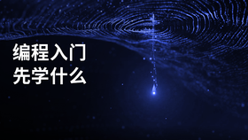 编程入门先学什么