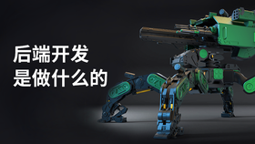 后端开发是做什么的