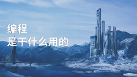 编程是干什么用的