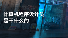 计算机程序设计员是干什么的