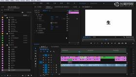 11 生日活动二次动画
