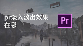 pr淡入淡出效果在哪