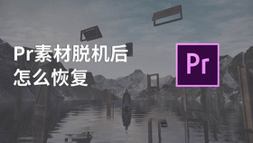 pr素材脱机后怎么恢复