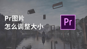 pr图片怎么调整大小