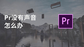 pr没有声音怎么办