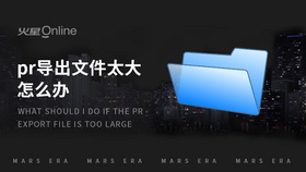 pr导出文件太大怎么办