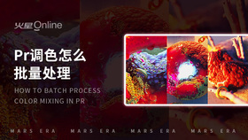 pr调色怎么批量处理