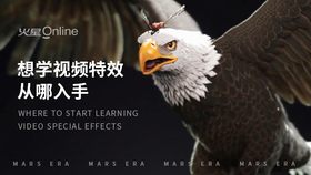 想学视频特效从哪入手