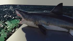 The Shallows特效解析